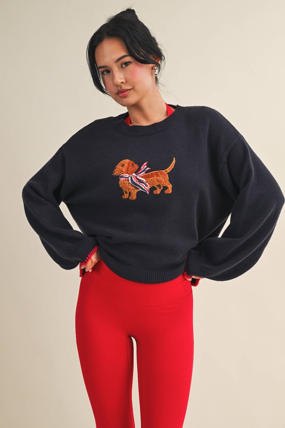 Patriotic Dachshund Embroidered Sweater