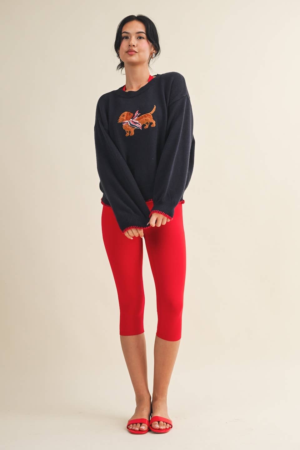 Patriotic Dachshund Embroidered Sweater