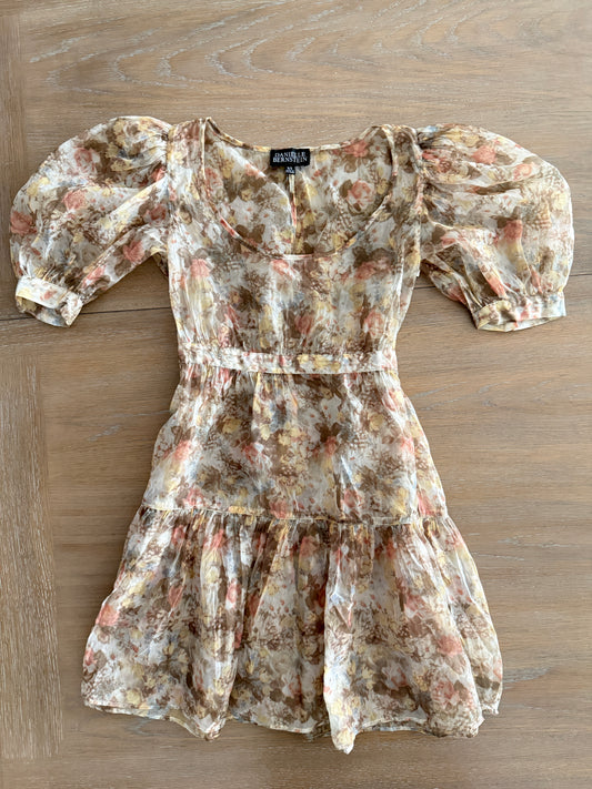 Danielle Bernstein mesh mini dress (size XS)