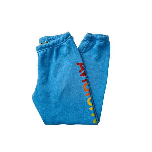 Aviator Nation blue venice sweatpants - size medium