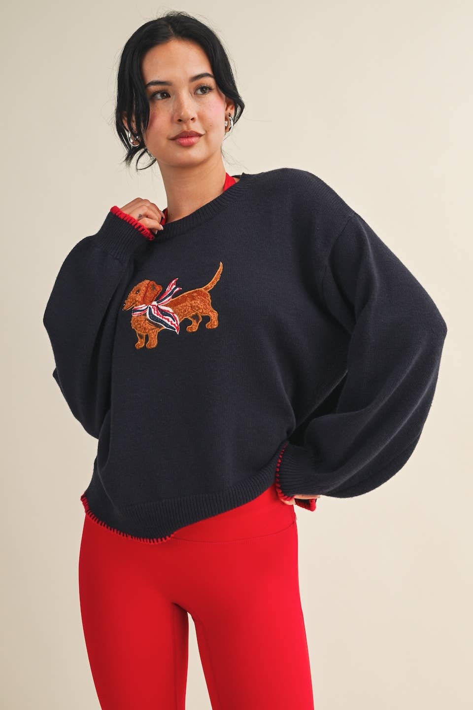 Patriotic Dachshund Embroidered Sweater
